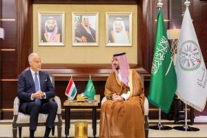 لقاء وزير الدفاع السعودي مع نظيره المجري لبحث آخر المستجدات الدولية والاقليمية