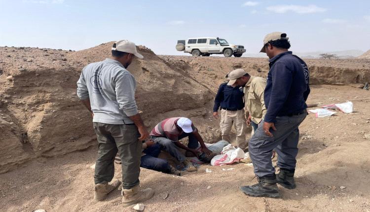 اللجنة الوطنية للتعامل مع الألغام تؤكد أهمية الشراكة الوطنية والدولية لتحقيق يمن خالٍ من الألغام