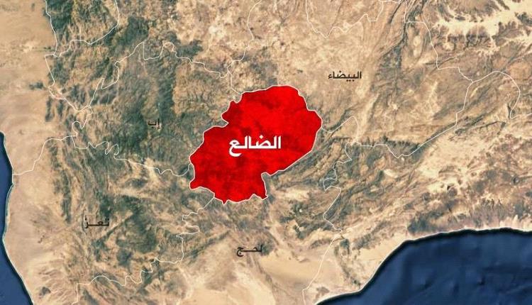 نجاح القوات الحكومية في صد هجوم مليشيا الحوثي في شمال الضالع