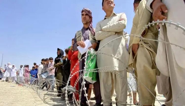 حصاد الخيانة ..العملاء الافغان بريطانيا تركتهم يواجهون مصائرهم