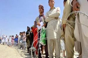 حصاد الخيانة ..العملاء الافغان بريطانيا تركتهم يواجهون مصائرهم