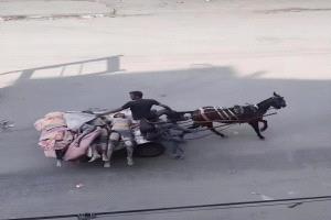 في يومها الـ 643 .. أبرز تطورات الإبادة الجماعية الإسرائيلية في غزة