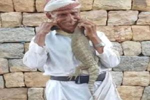 لدغة النهاية.. كوبرا تنهي حياة خبير أفاعي يمني داخل منزله