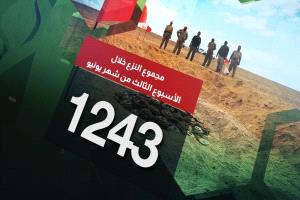 الفرق الهندسية لمشروع مسام تنزع "1243" لغمًا في الأراضي اليمنية خلال الأسبوع الثالث لشهر يونيو