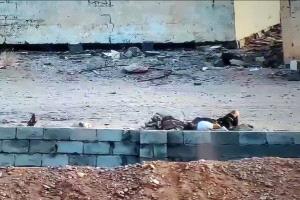 بيان صادر عن قبيلة الأغبرة وقبائل الصبيحة لحج