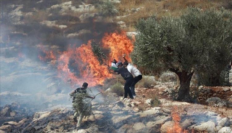 مستوطنون يحرقون محاصيل زراعية في دوما جنوب نابلس