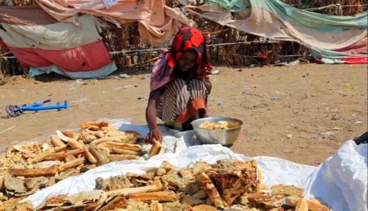 116 منظمة تدعو إلى إنقاذ اليمن من حافة الكارثة في بيان مشترك