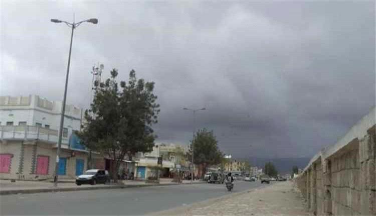 هجوم ذئب مفترس في وادي عسد الجبل بحضرموت يسفر عن إصابة 12 شخصًا بينهم نساء وأطفال