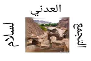 التجمع العدني للسلام .. يرحب إقرار المستشار ياسين مكاوي لمشروع عدن إقليم اقتصادي كامل الصلاحيات