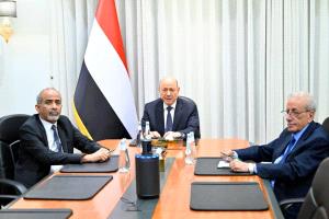 مجلس القيادة  يؤكد اتخاذ جميع الإجراءات لمنع انتهاك السيادة اليمنية