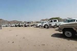 الحوثيون يعززون انتشارهم العسكري شمال عمران والجوف وسط تصاعد التوترات القبلية