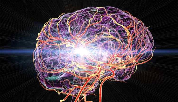 أطعمة تتلف الأوعية الدموية في الدماغ