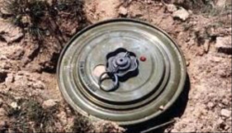 لغم حوثي يقتل مواطناً في البيضاء والسيول تجرف ألغاماً إلى بيحان شبوة