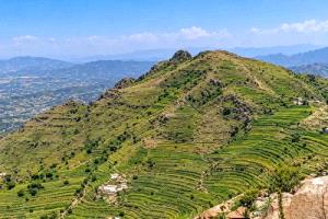 المقاومة الشعبية تستعيد مواقع في جبل الجعشة بمديرية سامع بمحافظة تعز