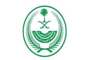 الداخلية السعودية تعلن نتائج أولية تشير إلى اعتداء مساعد طيار فلاي دبي على قائدها