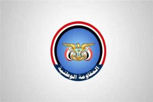 المقاومة الوطنية تحيي «عيونها» خلف خطوط الحوثيين وتتعهد بتكريمهم في السبعين
