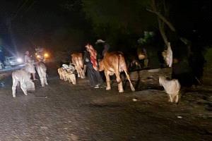 استشهاد امرأة و طفل  بقصف حوثي 
 و مصادرة ناقلة نفط إيرانية تمد الحوثيين
