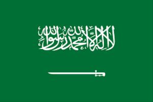 السعودية تؤكد أهمية الالتزام بالقانون الدولي لحماية المدنيين وصون الأمن الدولي