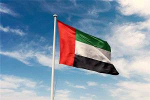 الإمارات تتضامن مع السعودية وتؤكد دعمها في مواجهة هجمات مليشيا الحوثي